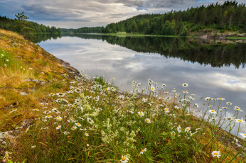 Картинка природа реки озера простор