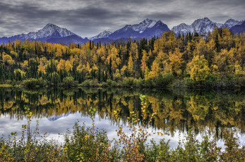 Картинка природа реки озера простор