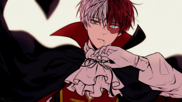 Картинка аниме boku+no+hero+academia шото