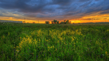 Картинка природа луга простор