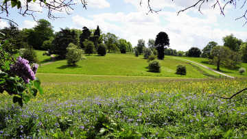 Картинка природа парк сирень аллеи