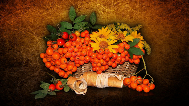 Обои картинки фото еда, натюрморт, цветы, шиповник, рябина