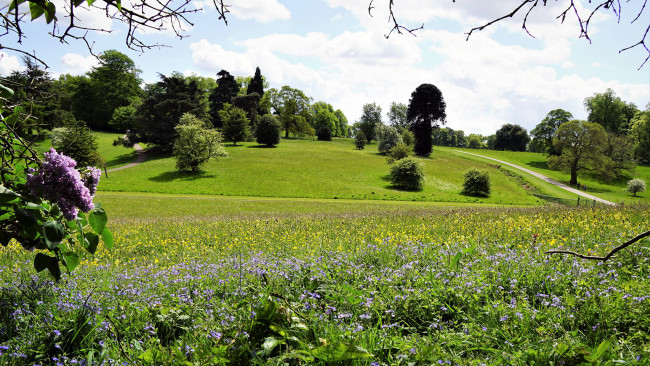 Обои картинки фото природа, парк, сирень, аллеи