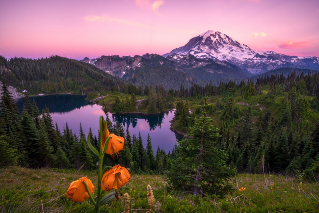 Обои картинки фото природа, пейзажи, простор