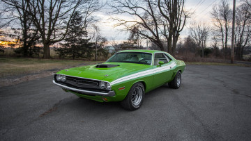 Картинка автомобили dodge 1970 challenger