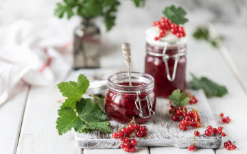 Картинка еда мёд +варенье +повидло +джем листья варенье смородина красная ягоды