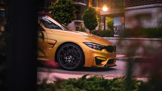 Обои картинки фото bmw m4, автомобили, bmw, желтый, дом, фонарь, деревья