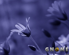 Картинка компьютеры gnome