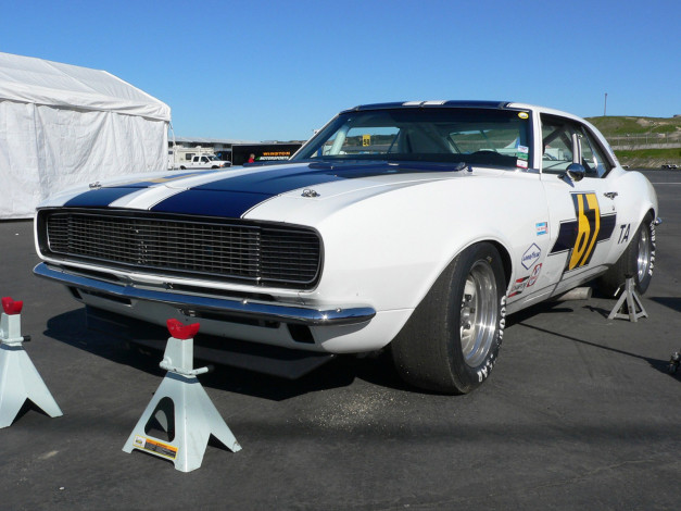 Обои картинки фото автомобили, выставки, уличные, фото