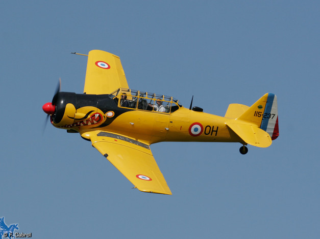 Обои картинки фото авиация, лёгкие, одномоторные, самолёты