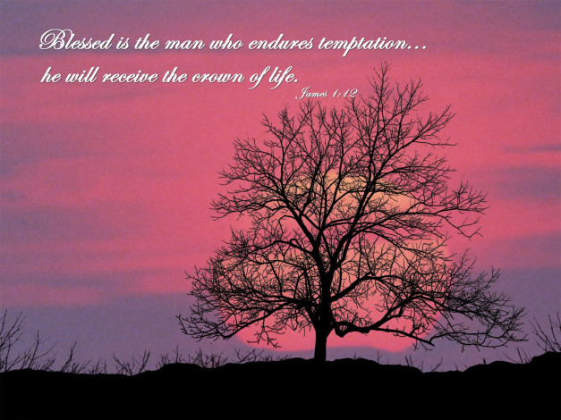 Обои картинки фото разное, религия