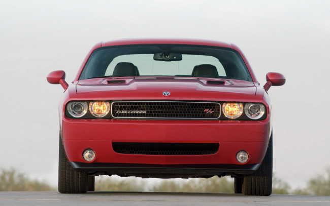 Обои картинки фото dodge, challenger, 2008, автомобили