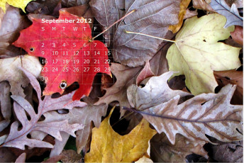 Картинка календари природа осень листья