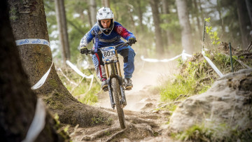 Картинка спорт велоспорт лес велосипед