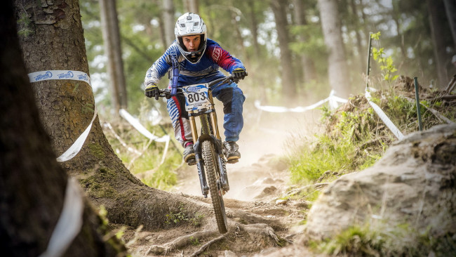 Обои картинки фото спорт, велоспорт, лес, велосипед