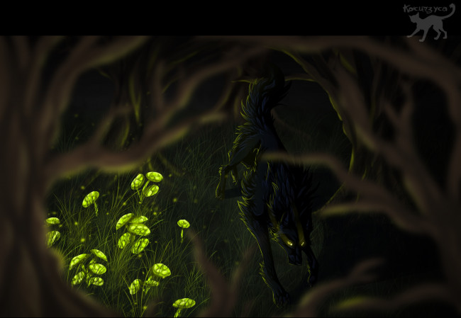 Обои картинки фото рисованные, животные,  волки, ночь, волк