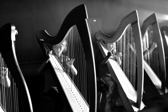 Картинка музыка -+другое арфы девочки инструменты