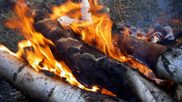 Картинка природа огонь пламя бревна костер
