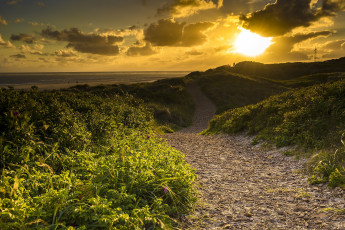 Картинка природа дороги простор