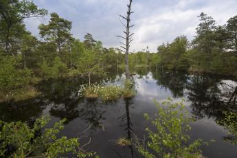 Картинка природа реки озера простор