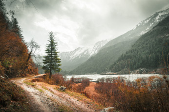 Картинка природа дороги простор