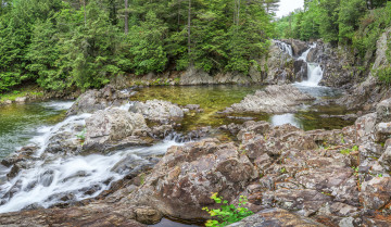 Картинка природа реки озера простор