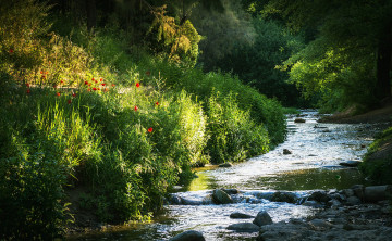 Картинка природа реки озера простор