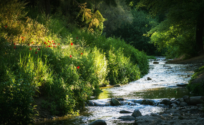 Обои картинки фото природа, реки, озера, простор