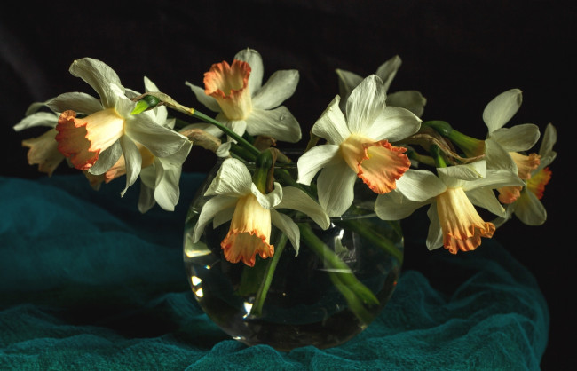Обои картинки фото цветы, нарциссы, ваза, ткань, картина