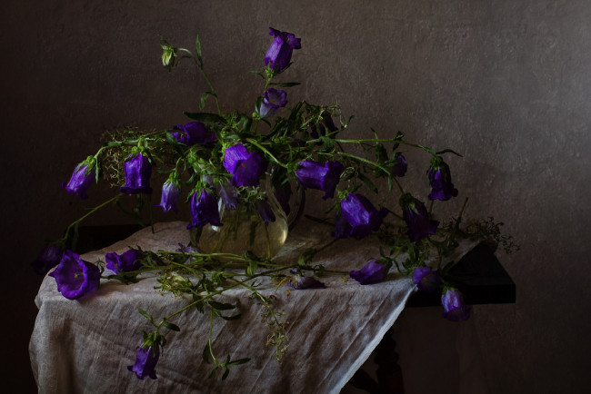 Обои картинки фото цветы, колокольчики, ваза, букет