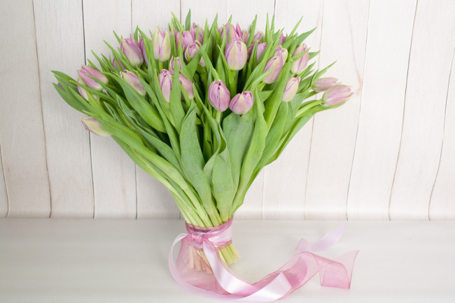 Обои картинки фото цветы, тюльпаны, лепестки, листья, бутоны, цветение, яркость