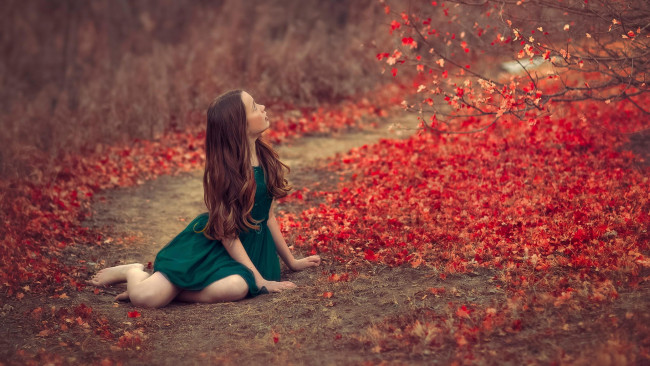 Обои картинки фото девушки, - брюнетки,  шатенки, красивая, девушка