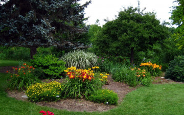 Картинка природа парк деревья клумба цветы