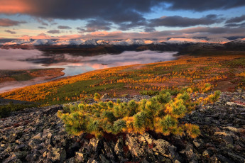 Картинка колыма природа реки озера горы озеро облака туман деревья осень