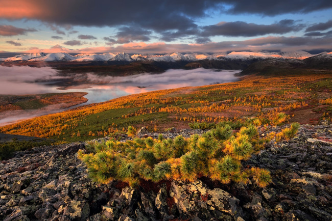 Обои картинки фото колыма, природа, реки, озера, горы, озеро, облака, туман, деревья, осень