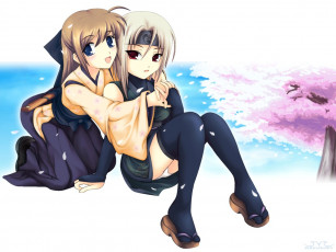 Картинка аниме *unknown другое