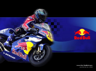 Картинка бренды red bull