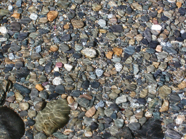 Обои картинки фото 