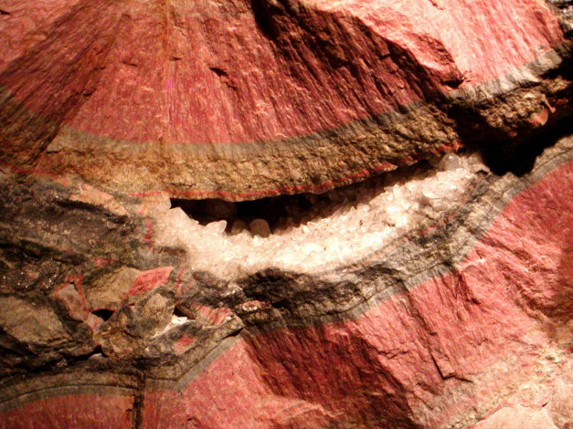 Обои картинки фото 