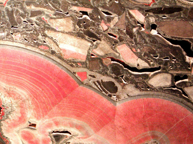 Обои картинки фото 