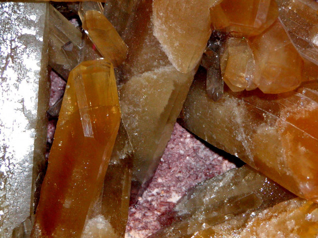 Обои картинки фото 