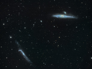 Картинка ngc4631 ngc4656 космос галактики туманности