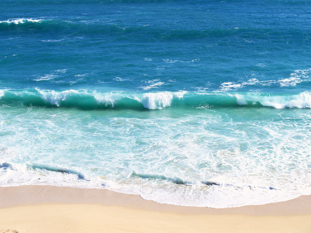 Обои картинки фото 