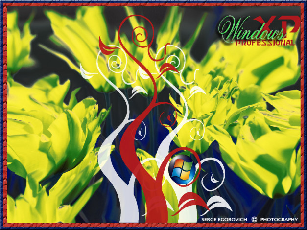 Обои картинки фото windows13, компьютеры, windows, xp