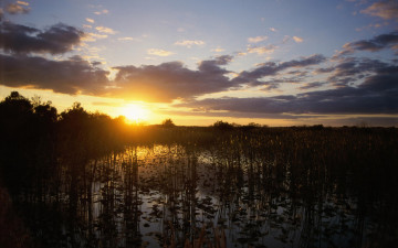 Картинка природа