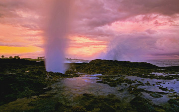 Картинка природа