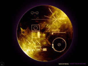 Картинка разное другое