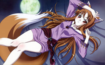 Картинка аниме spice and wolf