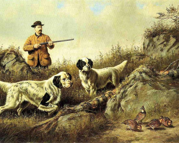 Обои картинки фото arthur, fitzwilliam, tait, рисованные