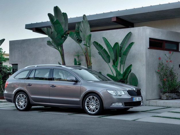 Обои картинки фото автомобили, skoda
